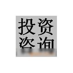 投資管理與咨詢 專業(yè)服務(wù)賦能企業(yè)資本戰(zhàn)略