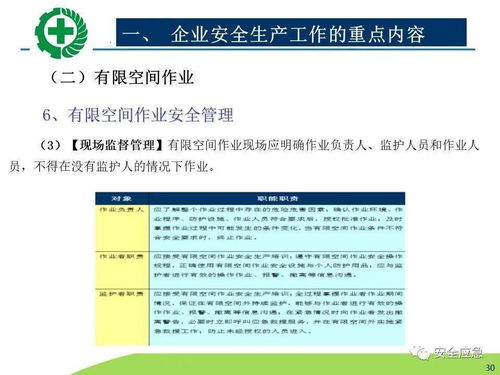 生產(chǎn)經(jīng)營單位安全生產(chǎn)檢查 內(nèi)容、程序、方法及網(wǎng)絡(luò)技術(shù)服務(wù)的應(yīng)用