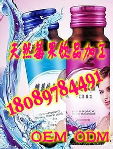 天然莓果飲品加工工廠 價格、型號與飲料組合裝全解析