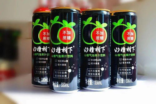 冠芳集團(tuán)新品發(fā)布 “千車戰(zhàn)略”賦能終端，飲料組合裝引領(lǐng)市場新趨勢